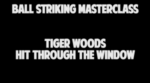 Tiger Woods Hit Through The Window