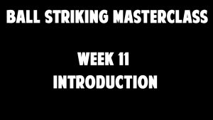 Intro Video Week 11